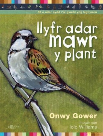 Llyfr Adar Mawr y Plant - Onwy Gower [KSIĄŻKA]