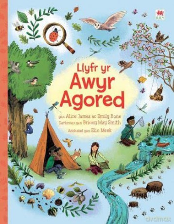 Llyfr yr Awyr Agored - Emily Bone Alice James [KSIĄŻKA]