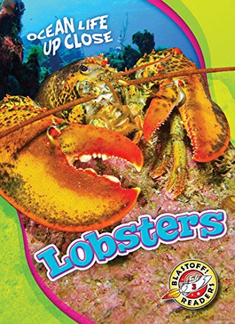Lobsters (Ocean Life Up Close) - Heather Adamson [KSIĄŻKA]