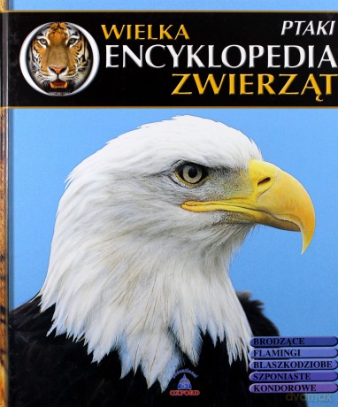 Wielka Encyklopedia Zwierząt 10: Ptaki [KSIĄŻKA]