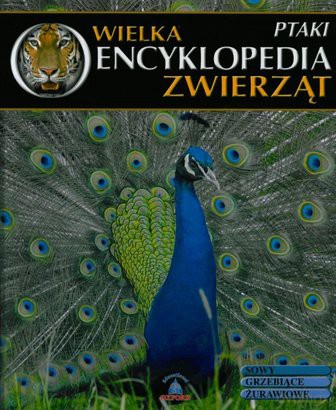 Wielka Encyklopedia Zwierząt 11: Ptaki [KSIĄŻKA]