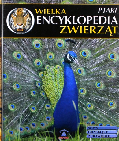 Wielka Encyklopedia Zwierząt 11: Ptaki [KSIĄŻKA]