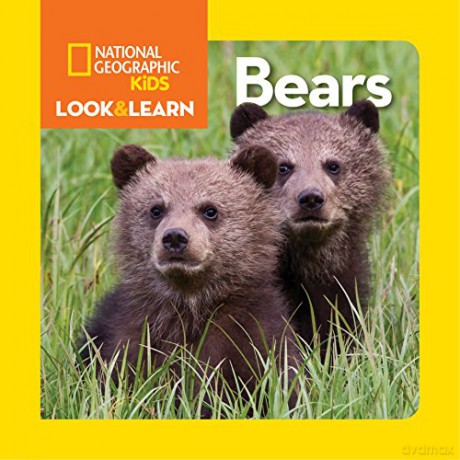 Look and Learn: Bears (Look&Learn) - National Geographic Kids [KSIĄŻKA]