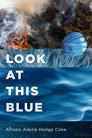 Look at This Blue - Allison Adelle Hedge Coke [KSIĄŻKA]