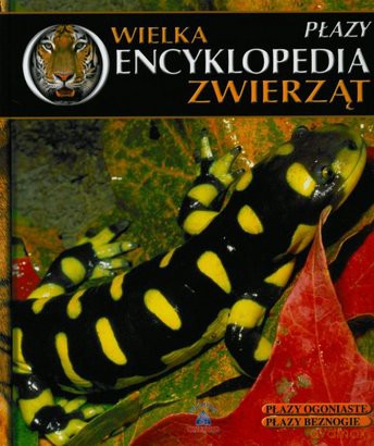 Wielka Encyklopedia Zwierząt 19: Płazy [KSIĄŻKA]