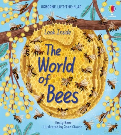 Look Inside the World of Bees: 1 - Emily Bone [KSIĄŻKA]