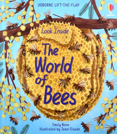 Look Inside the World of Bees: 1 - Emily Bone [KSIĄŻKA]