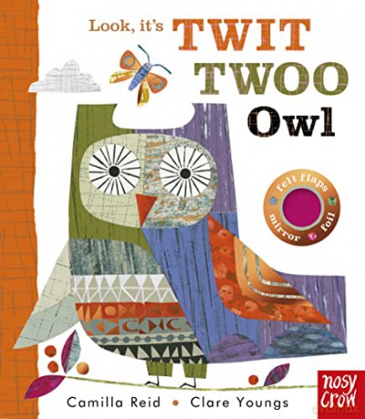 Look, It's Twit Twoo Owl - Camilla Reid [KSIĄŻKA]