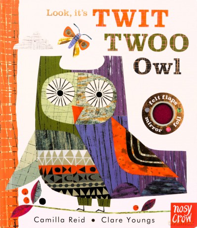 Look, It's Twit Twoo Owl - Camilla Reid [KSIĄŻKA]