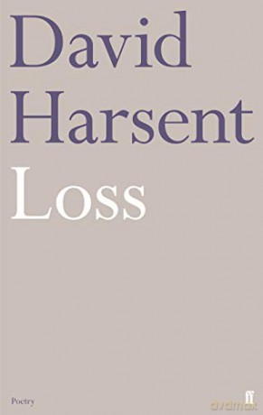 Loss - David Harsent [KSIĄŻKA]