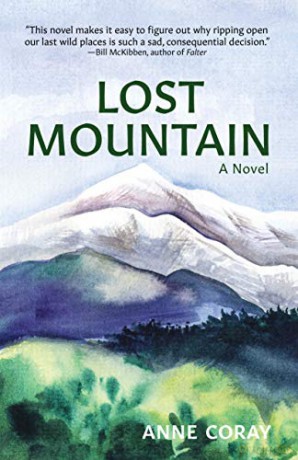 Lost Mountain: A Novel - Anne Coray [KSIĄŻKA]