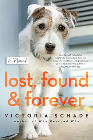 Lost, Found, and Forever: A Novel - Victoria Schade [KSIĄŻKA]