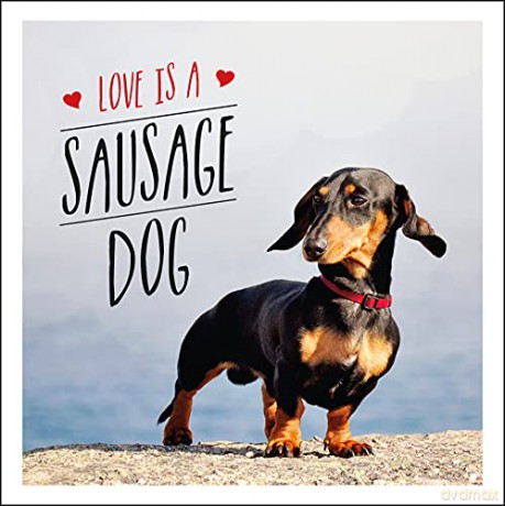 Love is a Sausage Dog: A Pup-Tastic Celebration of Dachshunds - the World's Cutest Dogs - Charlie Ellis [KSIĄŻKA]
