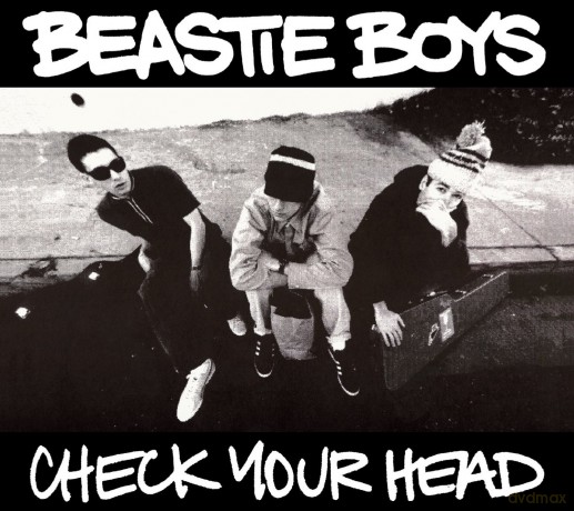 Beastie Boys: Check Your Head (Re-Mastered Edition) [2xWinyl]