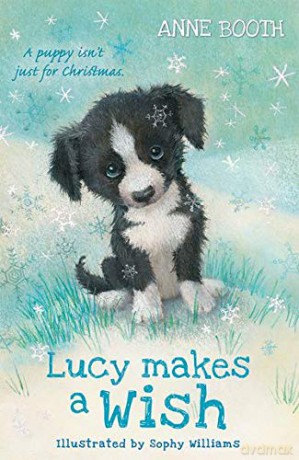 Lucy Makes a Wish - Anne Booth [KSIĄŻKA]