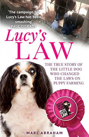 Lucy's Law: The story of a little dog who changed the world - Marc Abraham [KSIĄŻKA]