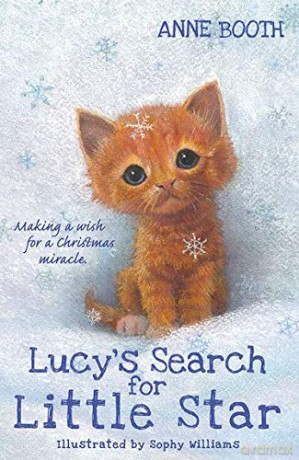 Lucy's Search for Little Star - Anne Booth [KSIĄŻKA]