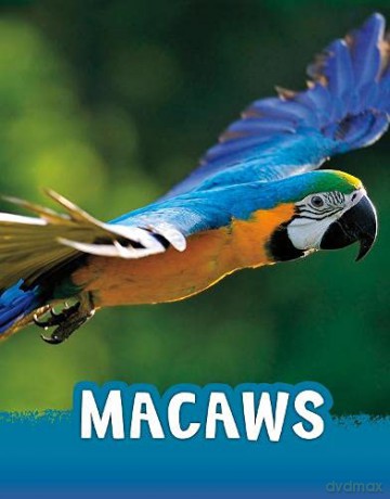Macaws (Animals) - Jaclyn Jaycox [KSIĄŻKA]