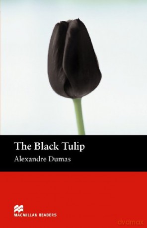 Macmillan Readers Black Tulip The Beginner - Florence Bell [KSIĄŻKA]
