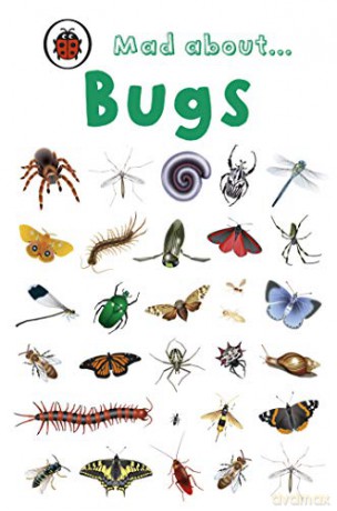 Mad About Bugs (Mini) - Ladybird [KSIĄŻKA]