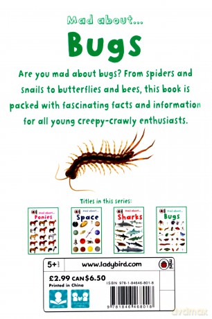 Mad About Bugs (Mini) - Ladybird [KSIĄŻKA]