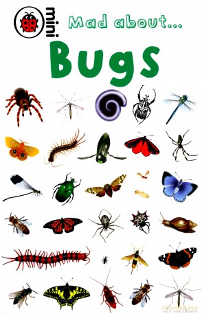 Mad About Bugs (Mini) - Ladybird [KSIĄŻKA]