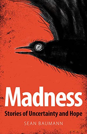 Madness: Stories of Uncertainty and Hope - Sean Baumann [KSIĄŻKA]