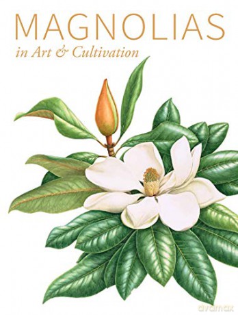 Magnolias in Art and Cultivation - Oozeerally [KSIĄŻKA]