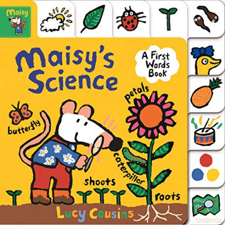 Maisy's Science: A First Words Book - Lucy Cousins [KSIĄŻKA]