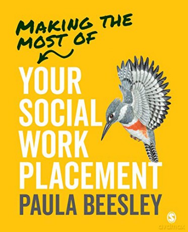 Making the Most of Your Social Work Placement - Paula Beesley [KSIĄŻKA]