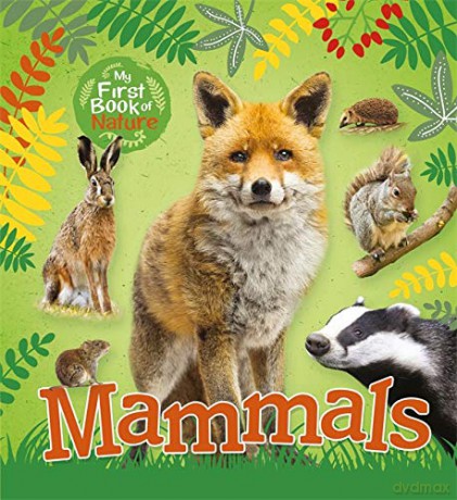 Mammals - Victoria Munson [KSIĄŻKA]