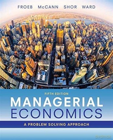 Managerial Economics: A Problem Solving Approach (Mindtap Course List) - Brian T. McCann [KSIĄŻKA]
