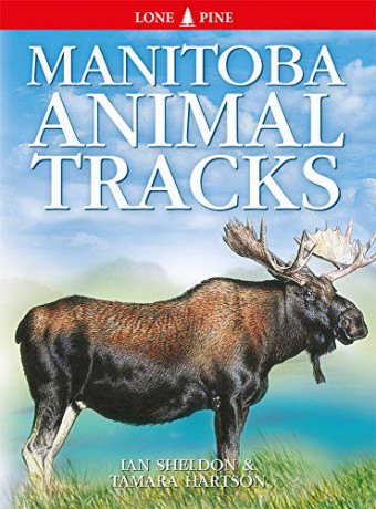 Manitoba Animal Tracks (Animal Tracks) - Ian Sheldon [KSIĄŻKA]