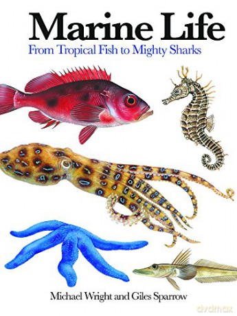 Marine Life: From Tropical Fish to Mighty Sharks (Mini Encylopedia) (Mini Encyclopedia) - Giles Sparrow [KSIĄŻKA]