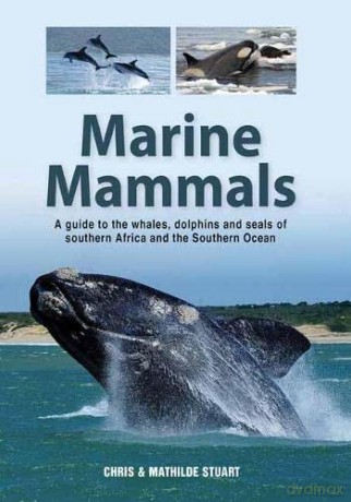 Marine Mammals: A Guide to the Whales, Dolphins and Seals of Southern Africa and the Southern Ocean - Chris Stuart Chris [KSIĄŻKA]
