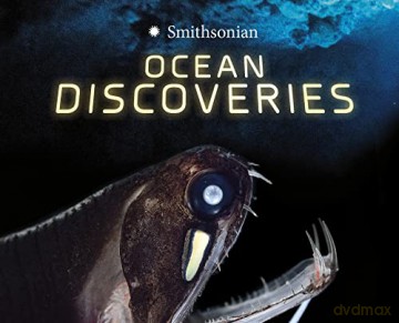 Marvellous Discoveries: Ocean Discoveries - Tamra B. Orr [KSIĄŻKA]