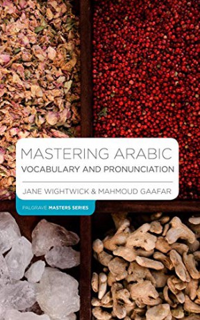 Mastering Arabic Vocabulary and Pronunciation (Macmillan Master Series (Languages)) - Mahmoud Gaafar [KSIĄŻKA]
