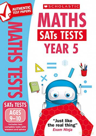 Maths Practice Tests for Ages 9-10 (Year 5) Includes two complete test papers plus answers and mark scheme (National Curriculum SATs Tests) - Paul Hollin [KSIĄŻKA]