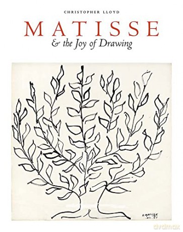 Matisse and the Joy of Drawing - Christopher Lloyd [KSIĄŻKA]