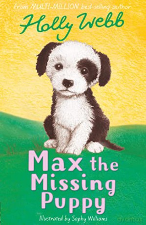 Max the Missing Puppy: 5 (Holly Webb Animal Stories, 5) - Holly Webb [KSIĄŻKA]