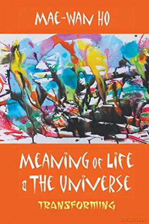 Meaning of Life and the Universe: Transforming - Mae-Wan Ho [KSIĄŻKA]