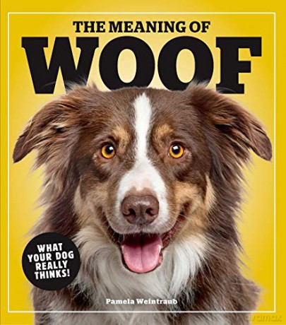 Meaning of Woof, The: What Your Dog Really Thinks! - Pamela Weintraub [KSIĄŻKA]