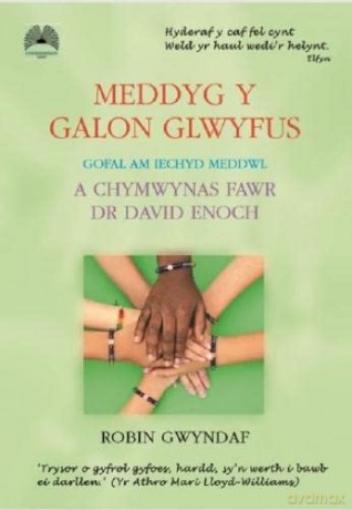 Meddyg y Galon Glwyfus - Gofal am Iechyd Meddwl a Chymwynas Fawr Dr David Enoch - Robin Gwyndaf [KSIĄŻKA]