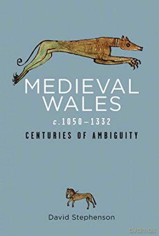 Medieval Wales c.1050-1332: Centuries of Ambiguity (Rethinking the History of Wales) - David Stephenson [KSIĄŻKA]