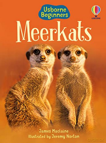 Meerkats (Beginners) - James Maclaine [KSIĄŻKA]