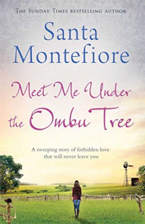 Meet Me Under the Ombu Tree - Santa Montefiore [KSIĄŻKA]