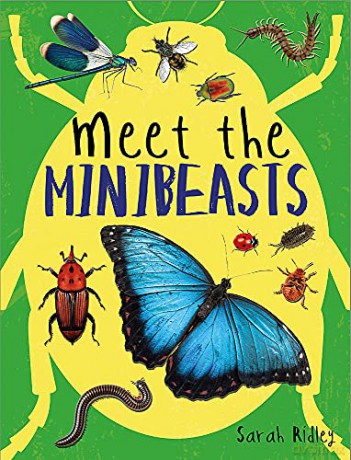 Meet the Minibeasts - Sarah Ridley [KSIĄŻKA]