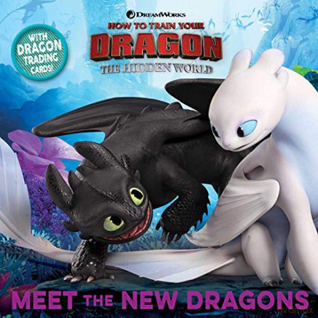 Meet the New Dragons (How to Train Your Dragon: The Hidden World) - Shane L. Johnson [KSIĄŻKA]