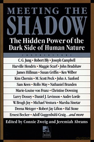 Meeting the Shadow: Hidden Power of the Dark Side of Human Nature (New Consciousness Reader): The Hidden Power of the Dark Side of Human Nature - Connie Zweig [KSIĄŻKA]