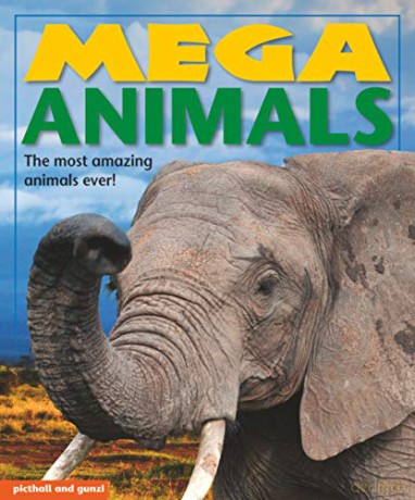 Mega Animals (Mega Books) - Nina Filipek [KSIĄŻKA]
